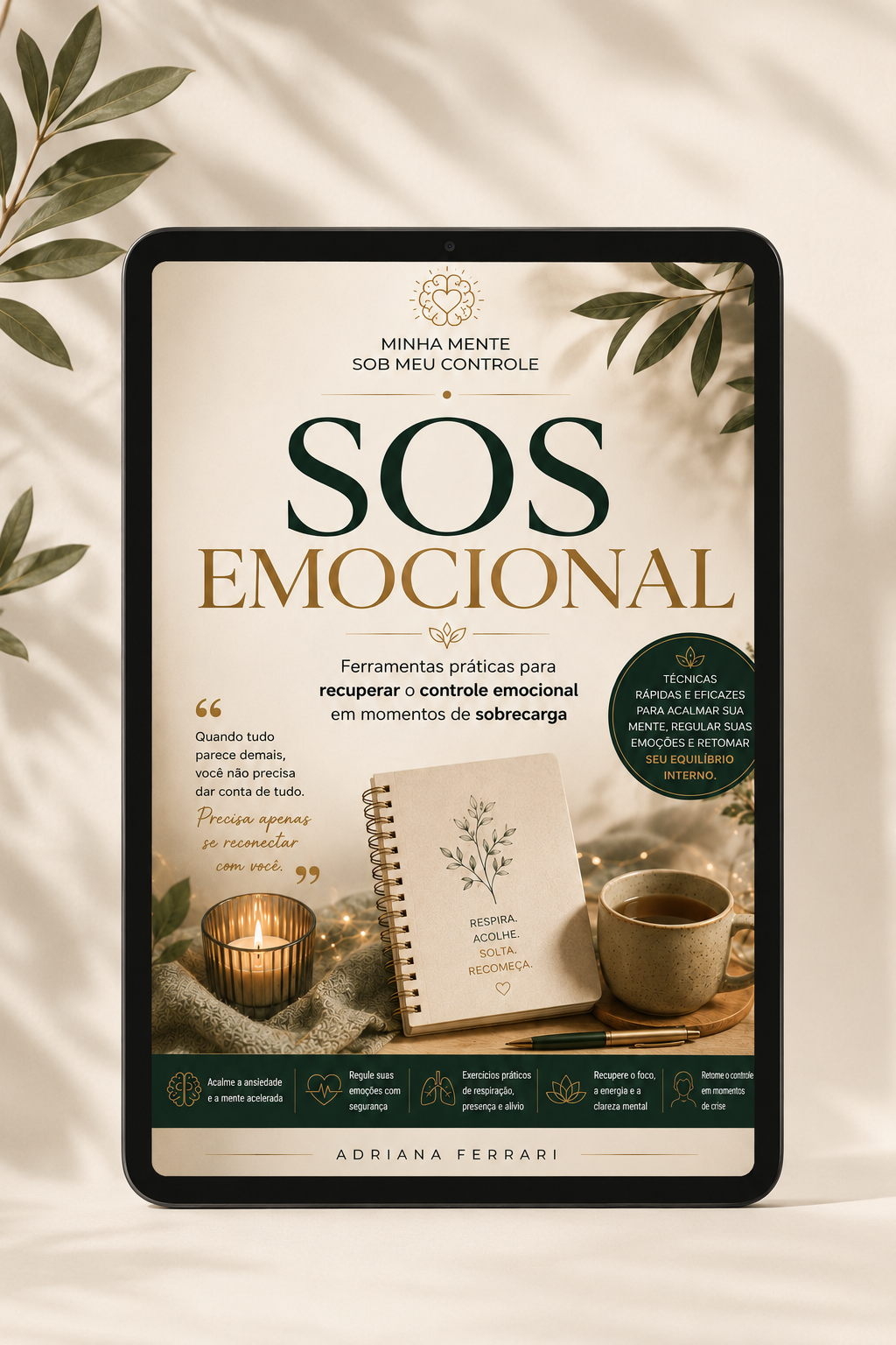 Capa do livro SOS Emocional